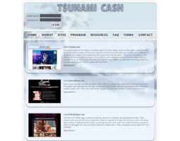 Tsunami-Cash