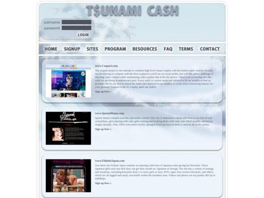 Tsunami-Cash
